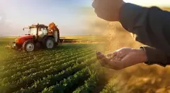 Çiftçiye 144 Milyon TL Dev Tarımsal Destek! - Duoyi